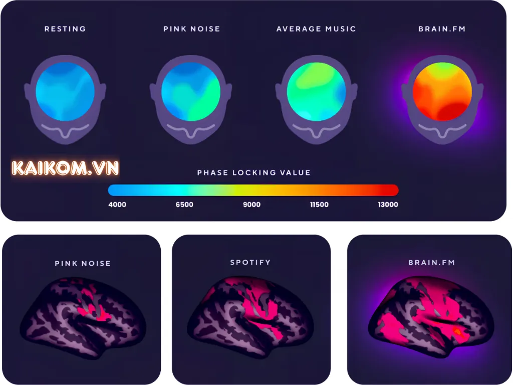Nghiên cứu âm nhạc của Brain.fm với não bộ