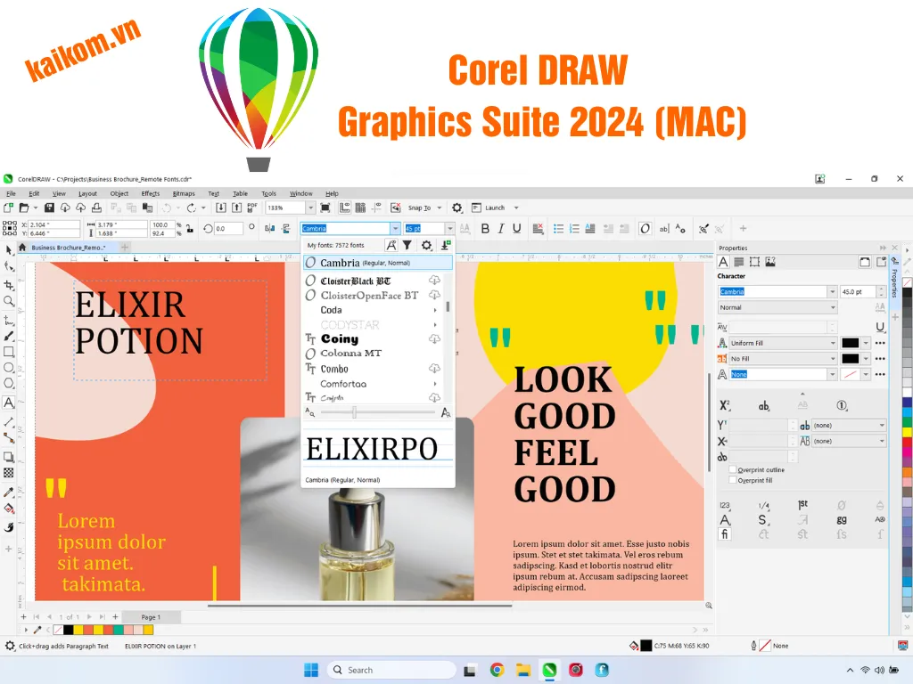 CorelDRAW Graphics Suite 2024 (MAC)
