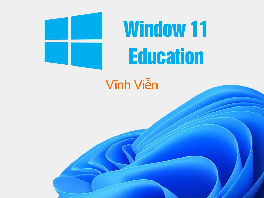 Windows 11 Education là gì?