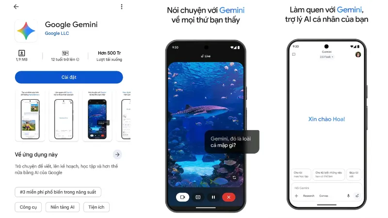 Cách sử dụng Chat Gemini trên điện thoại (Android & iOS)