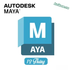 Nâng cấp tài khoản Autodesk Maya công cụ đồ họa 3D và hoạt hình 12 tháng