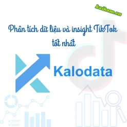 Nâng cấp Kalodata 1 tháng – Phân tích dữ liệu và insight TikTok