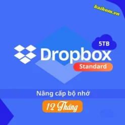 Nâng cấp tài khoản Dropbox Standard 5TB 12 tháng