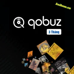 Nâng cấp tài khoản Qobuz Studio chính chủ