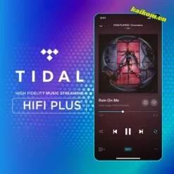 Tài khoản Tidal Individual