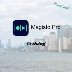 Tài khoản Magisto Pro 12 tháng