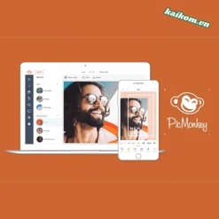 Picmonkey Basic (Tài khoản 12 Tháng) – Thiết kế, chỉnh sửa ảnh trực tuyến