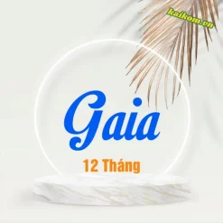 Tài khoản Gaia (12 Tháng)