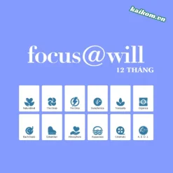 Tài khoản Focus@Will 12 tháng