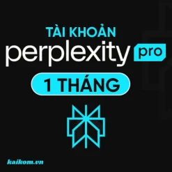 Perplexity AI Pro – Nơi kiến ​​thức bắt đầu